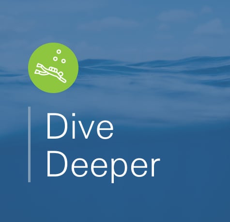 dive-deeper